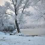 Happy New Year; Farewell (Not Really); and our Most Read Posts of 2025 – EJIL: Talk! Happy New Year; Farewell (Not Really); and our Most Read Posts of 2025 – EJIL: Talk!