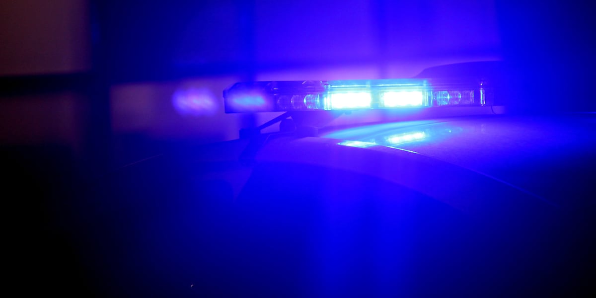 Protesters try to attack driver after truck speeds through anti-Iran demonstration in Los Angeles Protesters try to attack driver after truck speeds through anti-Iran demonstration in Los Angeles