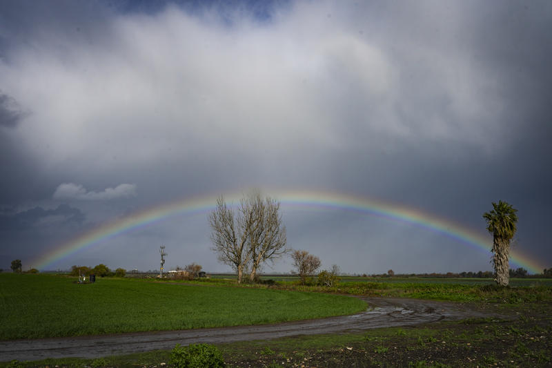 תחזית מזג האוויר: הסערה מאחורינו? זה מה שמחכה לנו בסוף השבוע