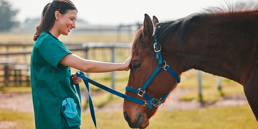 CJEU to decide if authorisation for human drug precludes SPC for veterinary use CJEU to decide if authorisation for human drug precludes SPC for veterinary use