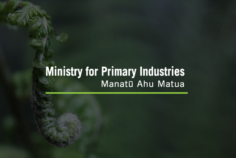 L’Authentique parfait recalled due to food safety concerns