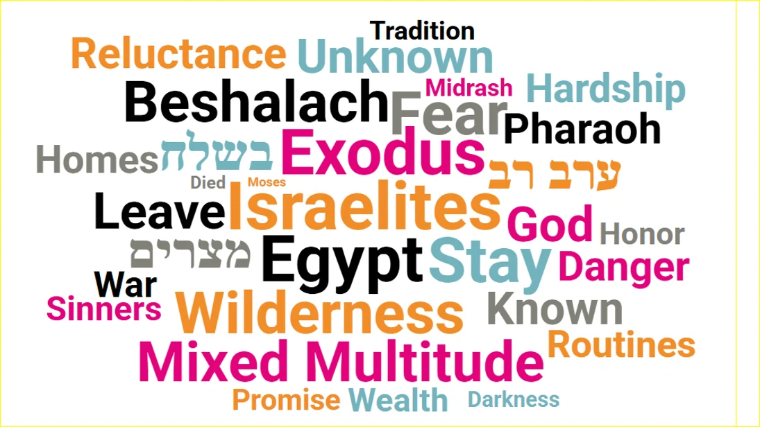 The Blogs: Facing the Unknown: Parshat Beshalach | Naomi Graetz The Blogs: Facing the Unknown: Parshat Beshalach | Naomi Graetz