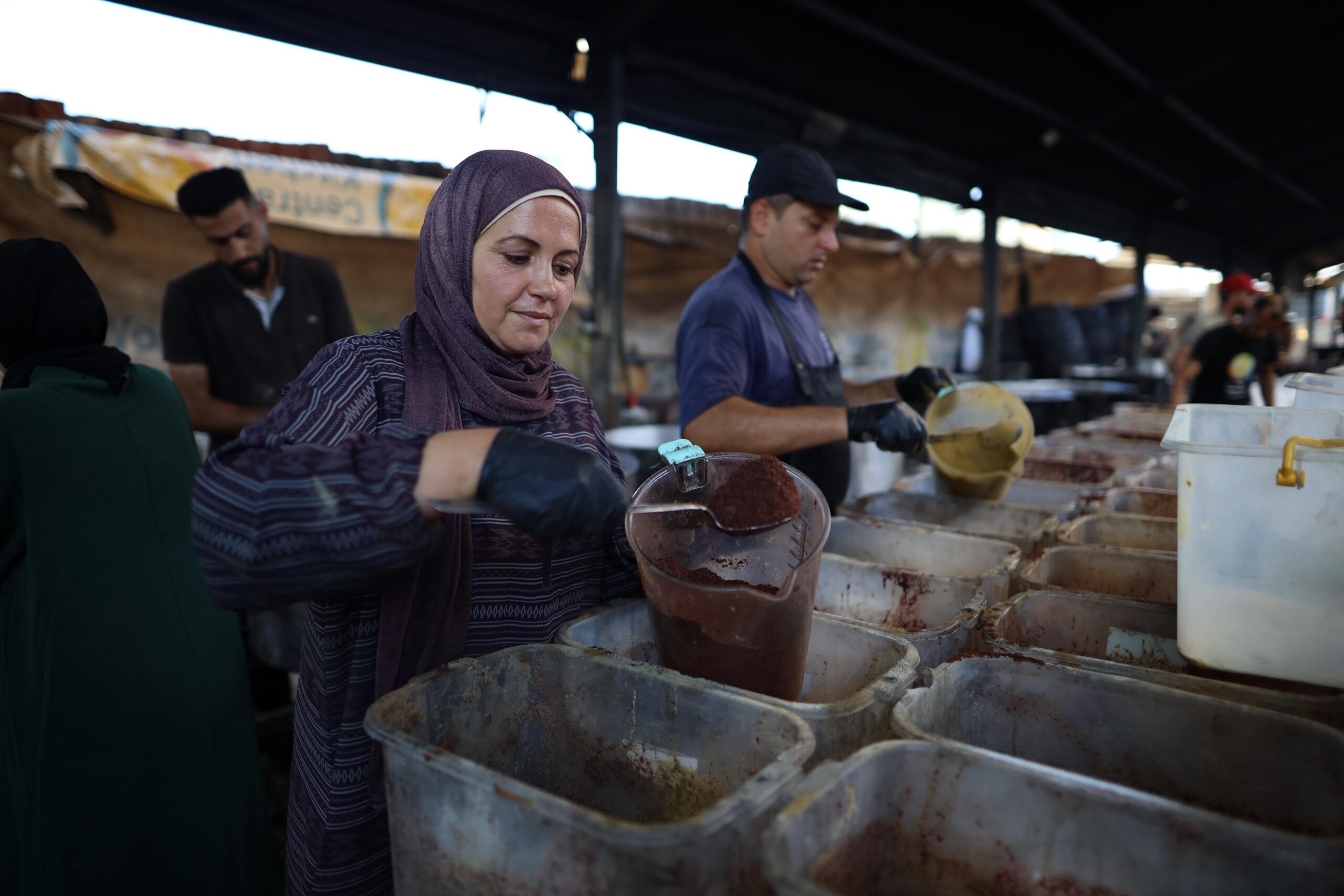 Your Gaza Questions Answered | Updated January 2026