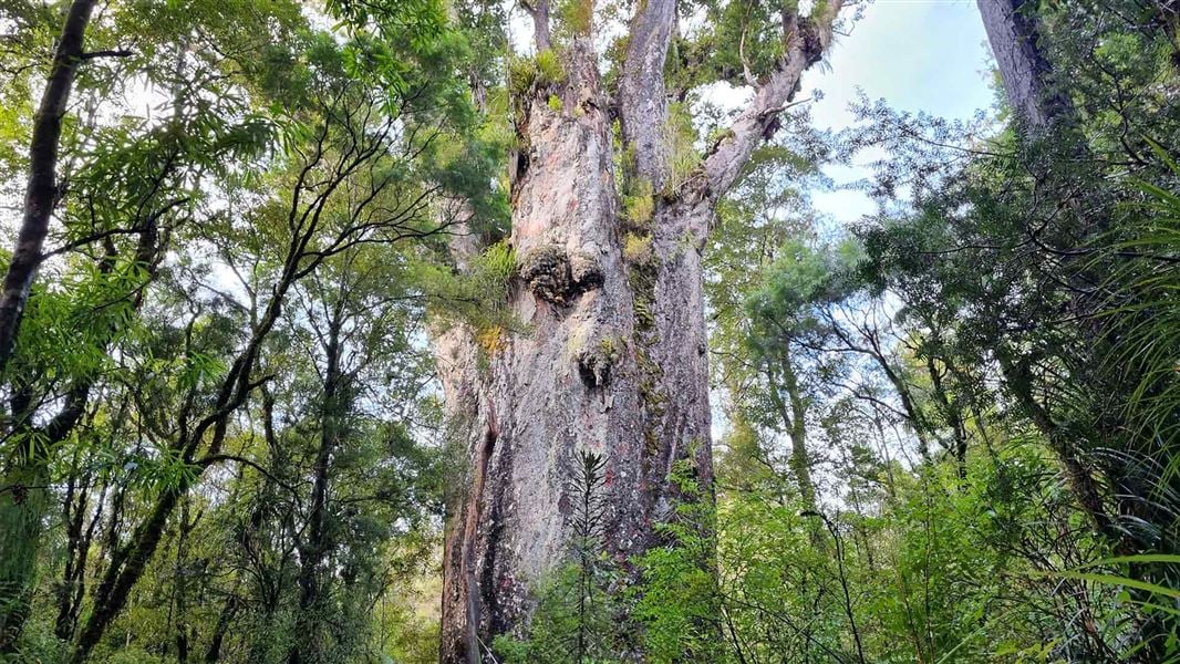 Media release 12 January 2026 Media release 12 January 2026