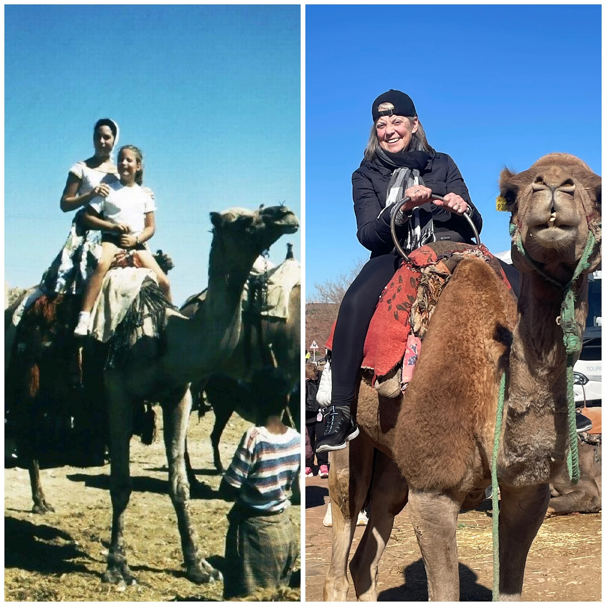 The Blogs: Camels and Kings | Joseph C. Kaplan