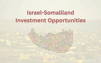 The Blogs: What Happens When the Startup Nation Meets the Self-Made Nation? | Abdirahman Bile