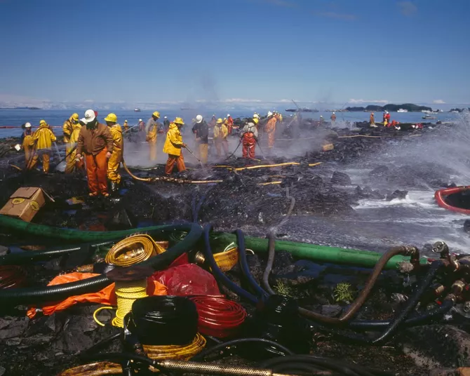 Iran’s Shadow Fleet of Old Tankers a Ticking Bomb for Sea Life, Say Experts