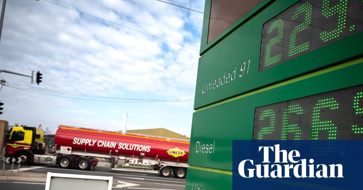 Fuel suppliers investigated over alleged price-gouging; Epstein’s emails visualised; and an ancient skeleton mystery | Australia news