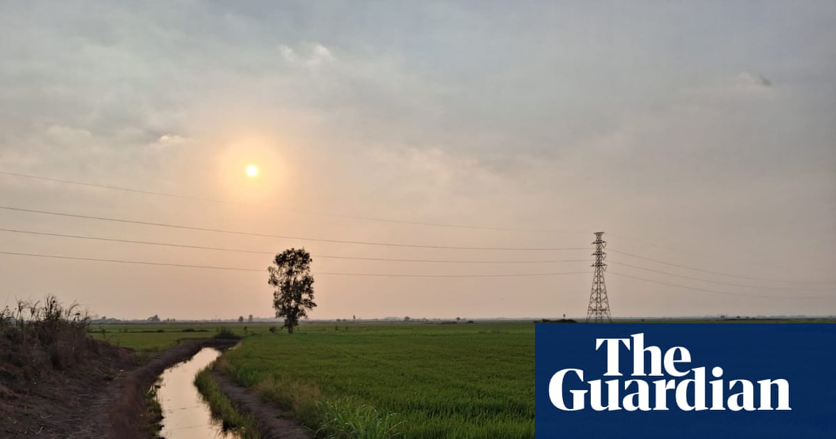 In Thailand’s rice paddies, rising petrol prices spell disaster for farmers | Thailand