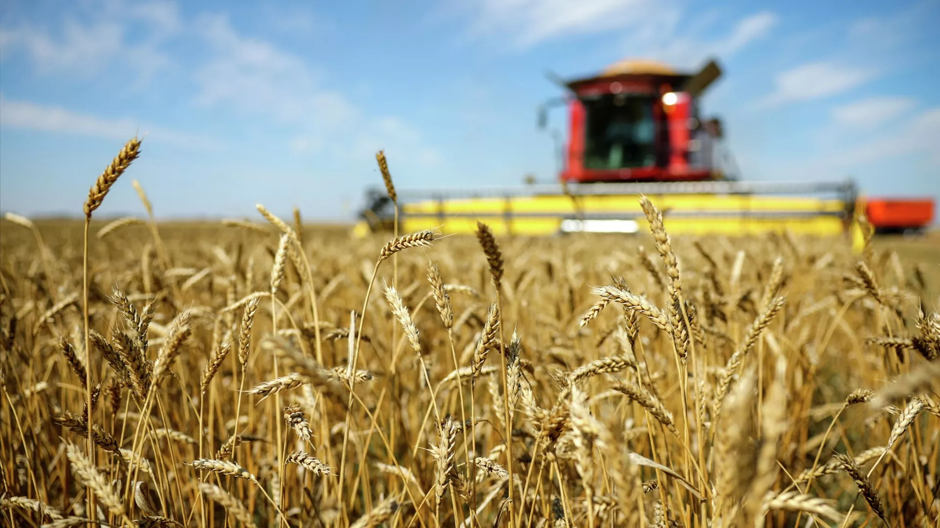 The conflict in the Middle East could trigger a food crisis – FT