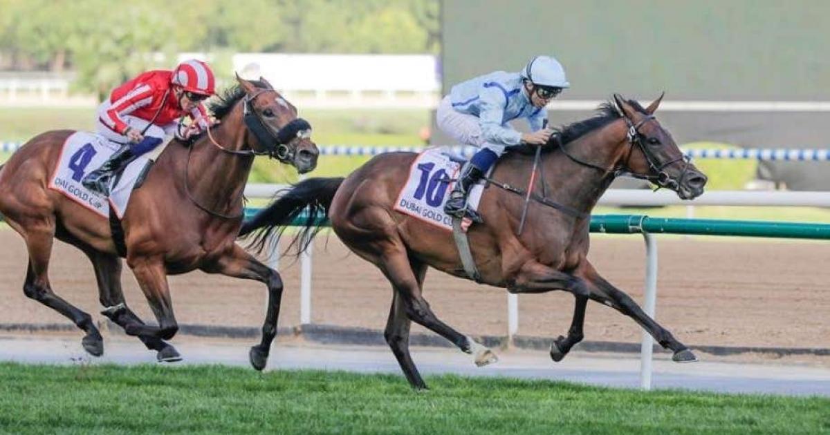 Fairy Glen strikes for the Crisfords in Dubai Gold Cup