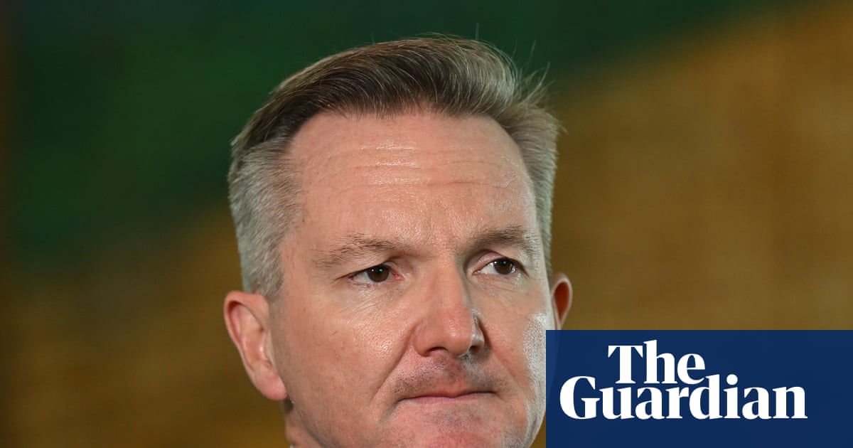 Chris Bowen declares rush on jerry cans ‘un-Australian’ as he urges end to panic buying of petrol | Australia news
