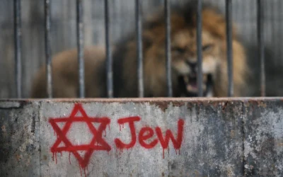 The Blogs: Three Boys, Two Lions | Noah Shoag