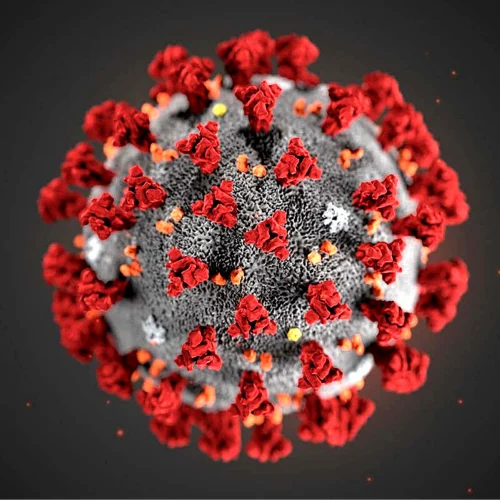 The Blogs: A Gentle Call in a Time of Division – Vayikra 5786 | David Lerner