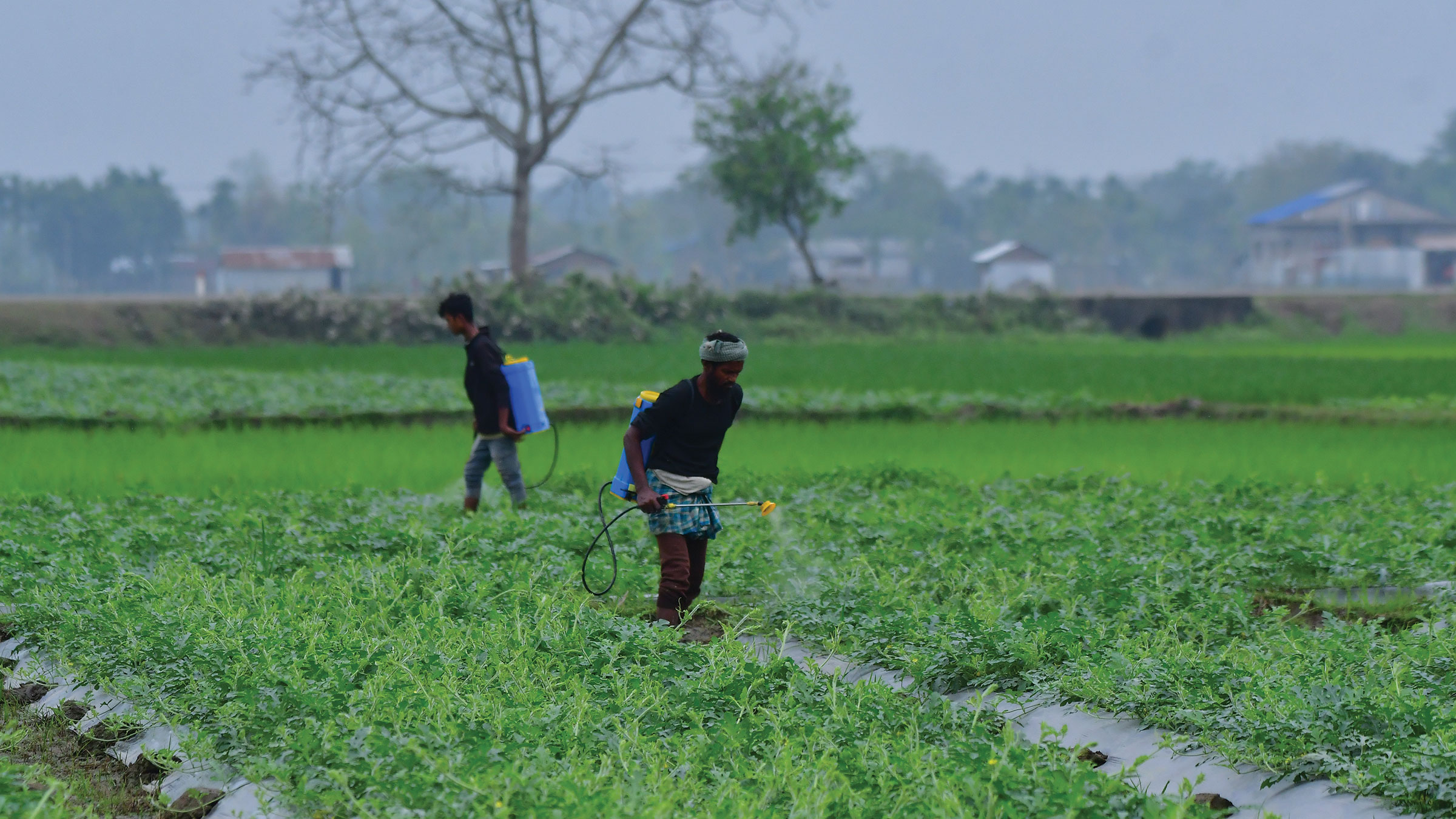 Indian fertilizer, specialty chemical industries hit by US-Iran war