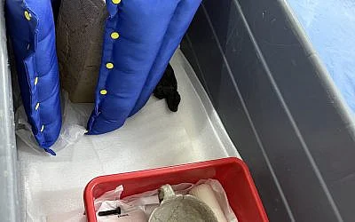 The Blogs: In the Shelter with Sennacherib | Risa Levitt