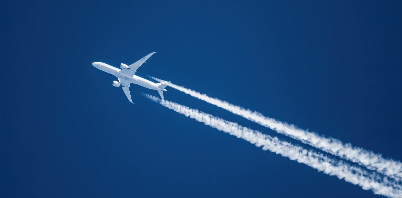 Airlines are facing yet more turbulence. An expert assesses what it will take to survive