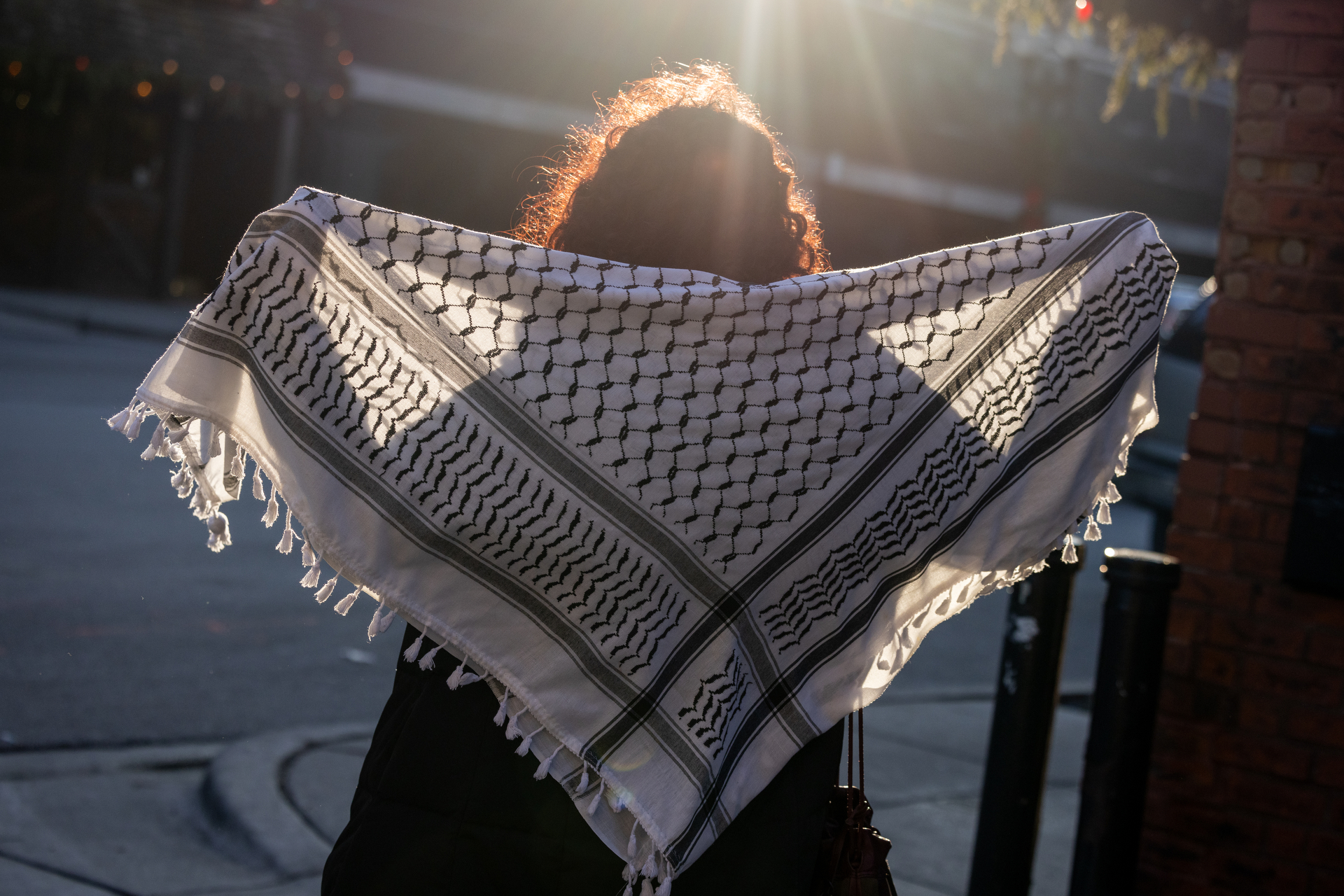 Zionist Doxxing Campaigns Upended Their Lives. Lawsuits Pending.