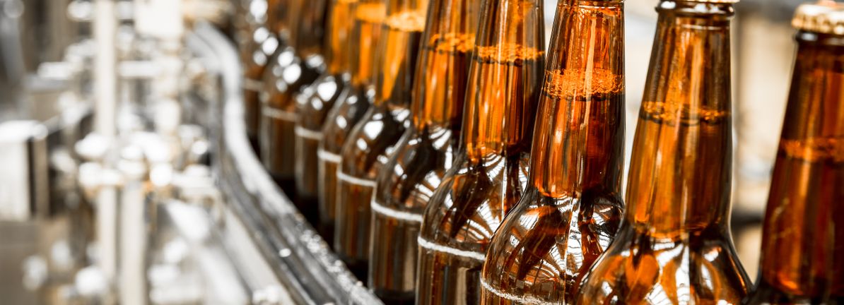 Carlsberg (CPSE:CARL B) Valuation Check After Muted Share Performance And Mixed Earnings Multiple Signals