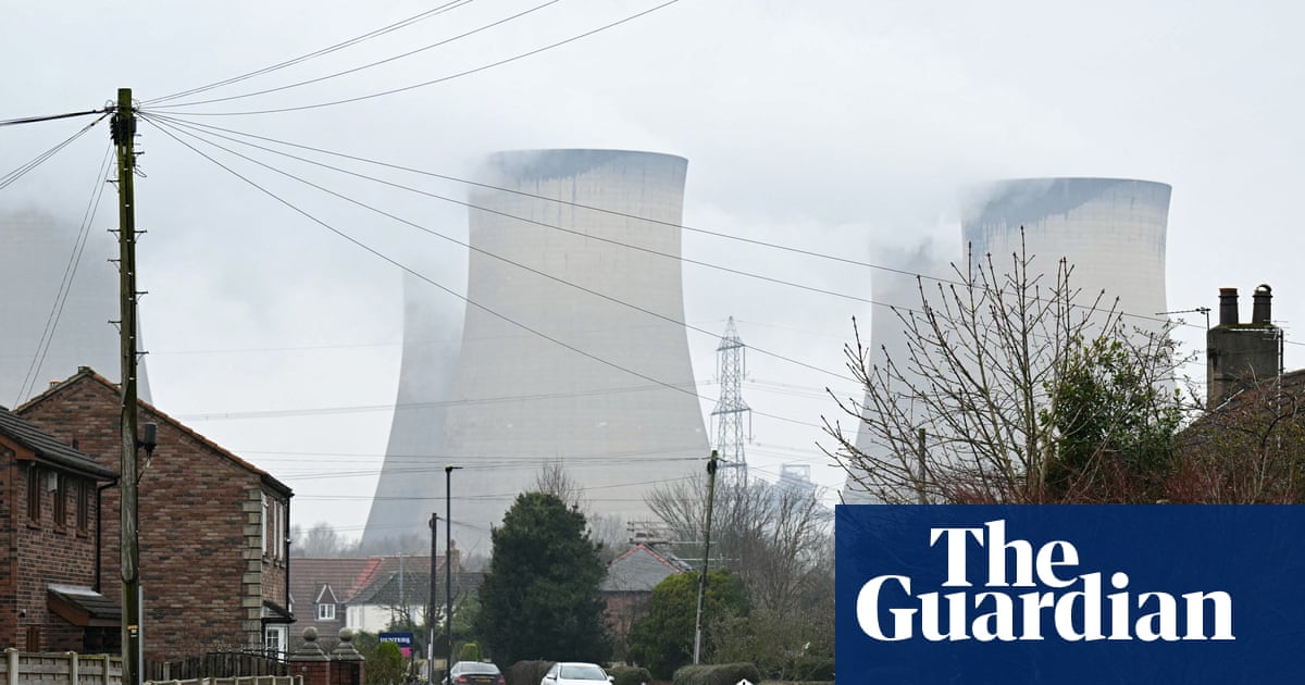 Burning wood for power worse for climate than gas equivalent, report finds | Energy