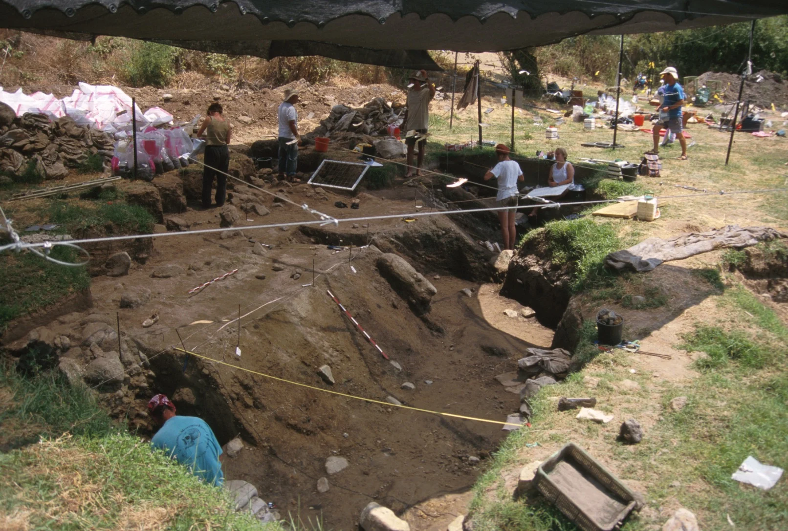 Rare ancient charcoal shows how prehistoric ‘Israelis’ were already grilling 780,000 years ago