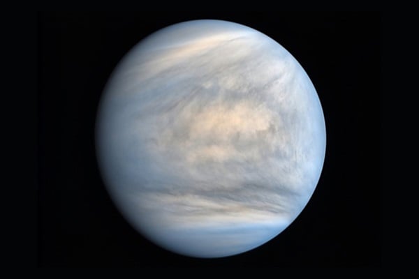 If Life Exists in Venus’ Atmosphere, It Could Have Come From Space