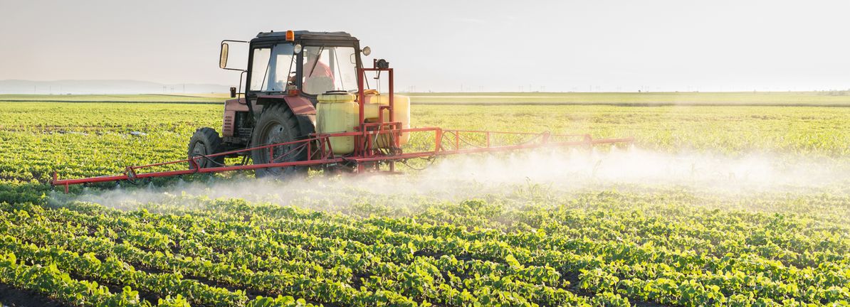 Nutrien’s Zinc Micronutrient Role Meets Valuation And Earnings Questions