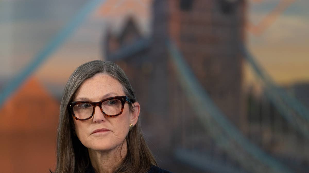 Cathie Wood buys  million of tumbling megacap tech stock | PLTR